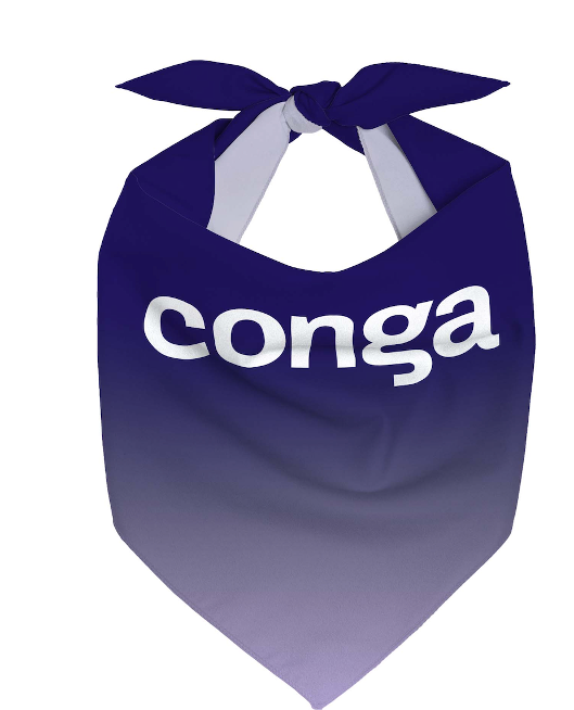 Conga Dog Bandanas - image1